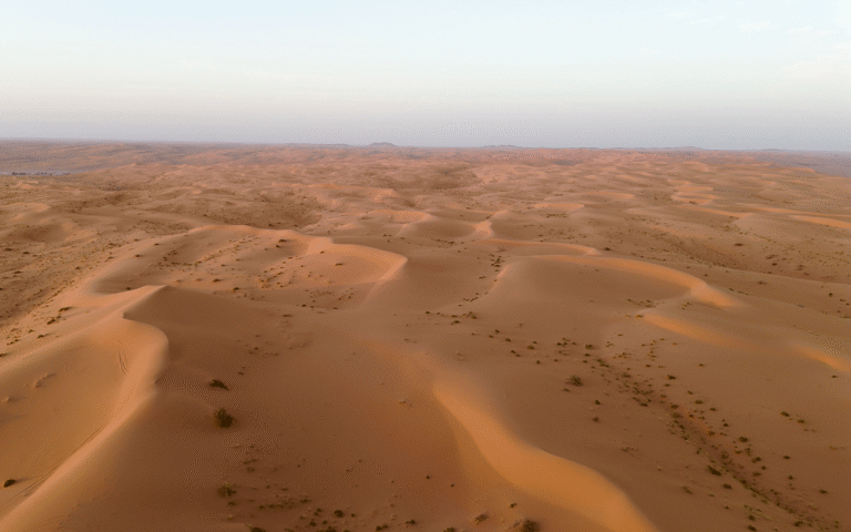 ما أكبر صحاري السعودية؟ خريطة الرمال التي تغطي ثلث المملكة